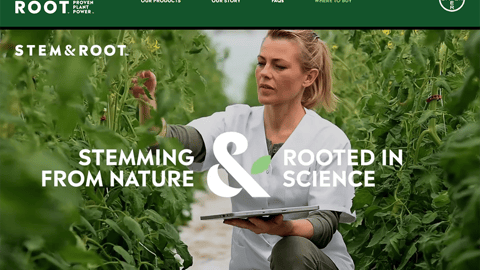 Stem & Root Home Page